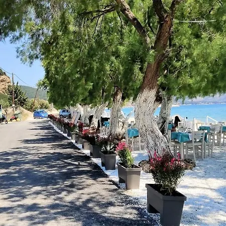 Otel Thassos Grand 4*